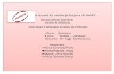 Diapositiva de histologia ( tejido epitelial 1 )