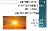 06 oct-2013-atributos-naturales-dios-inteligencia