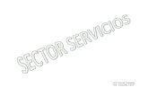 Sector Servicios CaracteríSticas