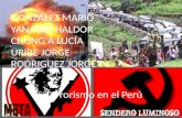 Historia del Perú. Época del terrorismo