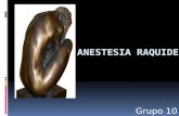 Anestesia raquidea3