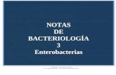 Bacteriología 3