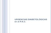Urgencias diabetológicas en el PAC