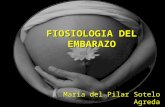 Fisiologia del-embarazo4510