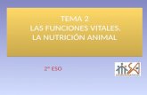 Tema 02 nutricion animal
