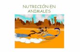Nutrición en animales [modo de compatibilidad]