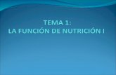 Tema 1 la función de nutrición I