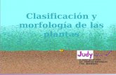 Clasificacion y morfologia de las plantas