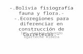 Tema 2  Pavimentos  Bolivia  E M I 2009