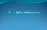 Principios Defensivos del Basquet / Basket