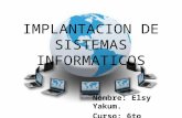 Implantacion de sistemas informaticos