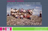 guías de turismo, guionaje o "guianza" turística en colombia...