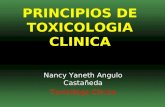 Toxicologia Principios De ToxicologíA ClíNica