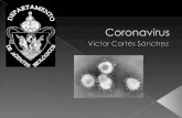 4.  Coronavirus