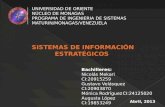 Sistemas de Informacion Estrategicos