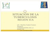 Avances y Desafíos en la Respuesta a la TB  - Región Ica