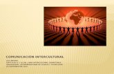 Comunicacion intercultural cap 9 y 10