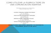 Como utilizar la_rubrica_tigre_en_una_comunicacion