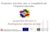 Presentació PILE-PAP 2013-14