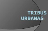 Tribus urbanas - donde muchos jóvenes buscan una identidad, buscan ser aceptados por el resto de la sociedad. encontramos muchas tribus urbanas como por ejemplo los Emos una cultura