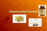 Vitamina B1(tiamina)
