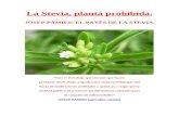 La Stevia, planta prohibida