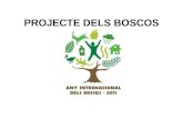 Projecte dels boscos P3