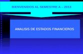 Marco conceptual del analisis financiero