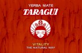 Presentación Campaña “Taragüi” (Mate)