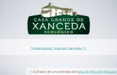 Branding xanceda