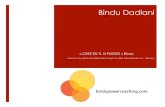 Dossier Bindu Power Coaching