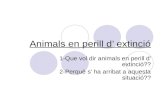 Animals en perill d’ extinció1