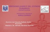 Amalgamas, Claudia Nallely Avitia