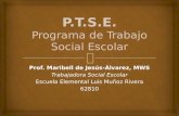 Presentación de trabajo social escolar 2013-14