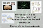 Introducción a la Neurociencia