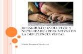 Desarrollo Evolutivo  Y Necesidades Educativas PresentacióN 97