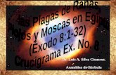 CONF. EXODO 8:1-32. (EX. No. 8). LAS PLAGAS DE RANAS, PIOJOS Y MOSCAS EN EGIPTO.