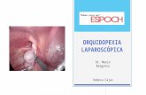 Orquidopexia laparoscópica