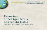Espacios inteligentes y sostenibilidad mlg.pdf