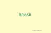 Prezentace brasil