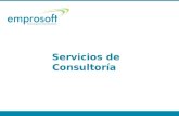 Servicios De ConsultoríA 2011