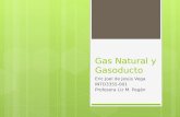 Presentación final INTD Gas Natural y Gasoducto (Eric Joel de Jesus Vega)