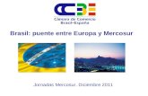 Presentación Cámara de Comercio Brasil - España