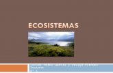 Ecosistemas Y Biomas