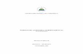 Normas de auditoria gubernamental proyecto BID NICARAGUA