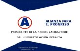 Lineamientos de Plan de Gobirno Regional Alianza Para El Progreso