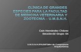 Clinica de Gandes Esecies FMVZ-UMSNH- Presentacion 03