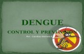 Control y prevención del dengue