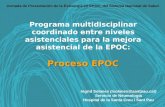 Programa multidisciplinar coordinado entre niveles asistenciales para la mejora asistencial de la EPOC: el proceso EPOC