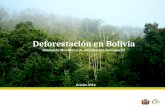 Presentacion deforestación    bolivia